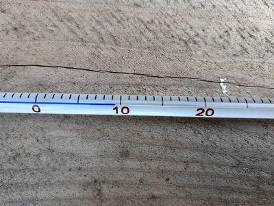 仮設トイレ　室温